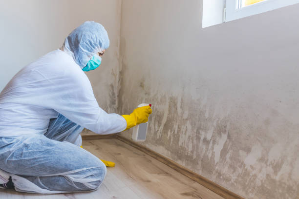 Licensed Mold Testing service in Schellsburg, PA - WQB Mold Removal