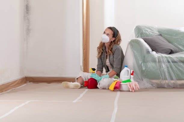 Trusted Mold Testing service in Schellsburg, PA - WQB Mold Removal